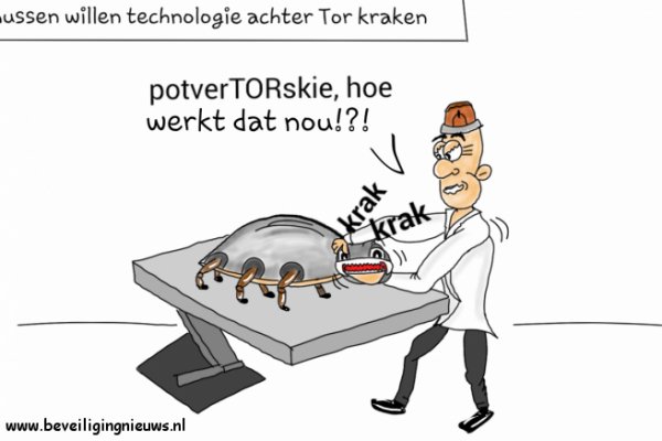 Kraken tor 2krnk biz