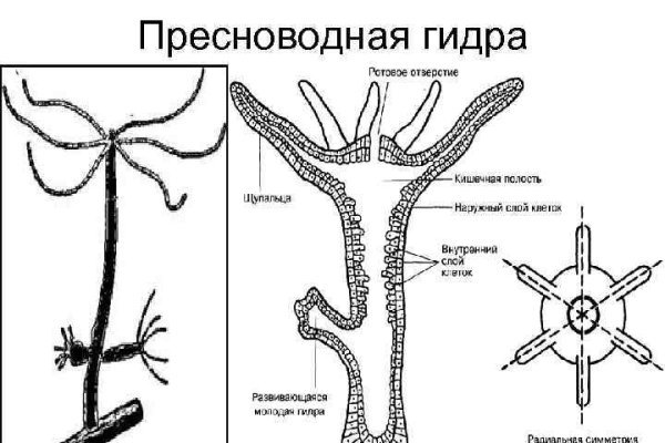 Кракен даркнет площадка kraken 11 store